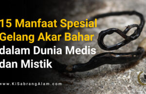 Khasiat dan Manfaat Ac. Tartarica dalam Dunia Medis dan Herbal