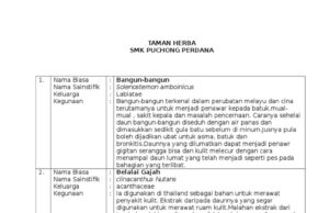 Khasiat dan Manfaat Achyranthi Folium Adalah Herbal Menyehatkan