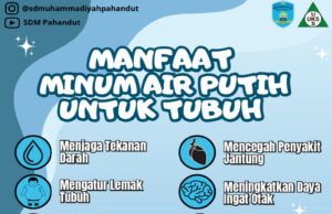Khasiat dan Manfaat Air Abu Gosok dalam Tradisi dan Kesehatan