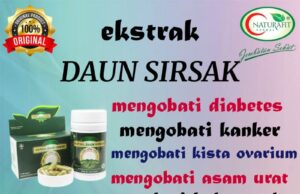Khasiat dan Manfaat Ace Maxs untuk Kista Ovarium