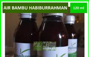 Khasiat dan Manfaat Air Bambu untuk Penyembuhan Alami