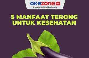Khasiat dan Manfaat 1 Buah Terong Belanda Jika Dimakan Langsung untuk Kesehatan Tubuh