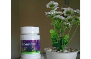 Khasiat dan Manfaat Acai Plus NASA yang Jarang Diketahui