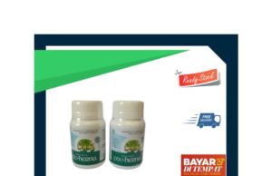 Khasiat dan Manfaat Adas untuk Hernia Secara Alami