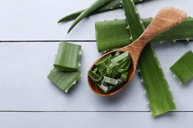 8-manfaat-aloe-vera-untuk-kesehatan-dan-kecantikan