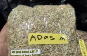 Khasiat dan Manfaat Adas Manis untuk Kesehatan Sehari-hari