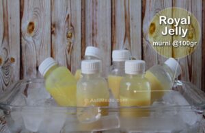 Khasiat dan Manfaat Agar Agar Jelly dalam Asupan Sehari-hari