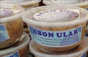 Khasiat dan Manfaat Abon Ular dalam Pengobatan Tradisional