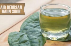 Amankah Minum Air Daun Sirih Saat Hamil? Ini Penjelasan Lengkapnya
