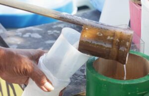 Khasiat dan Manfaat Air Badeg sebagai Minuman Tradisional