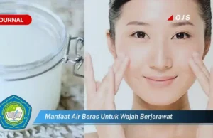 Khasiat dan Manfaat Air Beras untuk Wajah Berjerawat