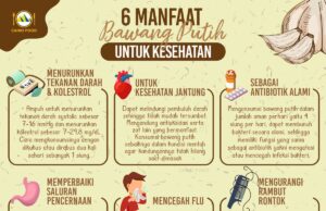 Khasiat dan Manfaat 5 Siung Bawang Putih untuk Penyakit Degeneratif