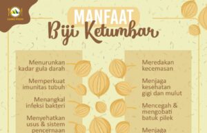 Khasiat dan Manfaat Air Biji Ketumbar untuk Kesehatan